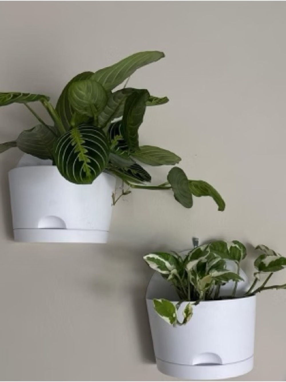 Room Essentials 2 White Wall Planter Set self watering half⭕️Hanging Plant Pots